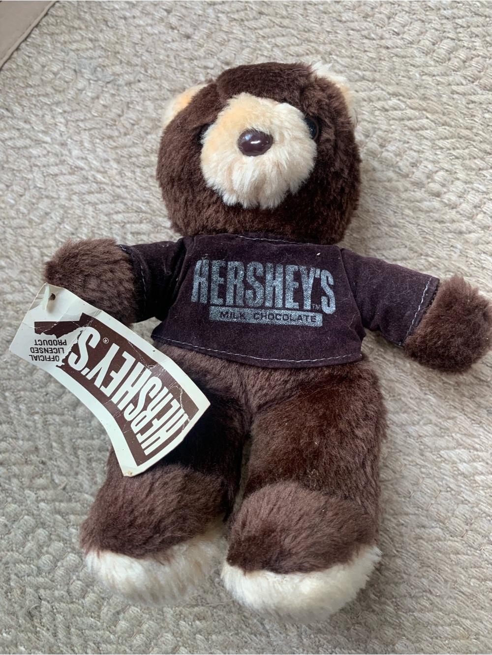 Vintage 1980s Hershey Milk Chocolate Bear